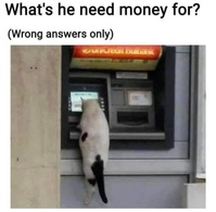Why does he need cash?