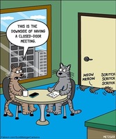 Closed Door Meetings with Cats
