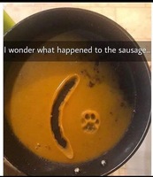 Where did the sausage go?
