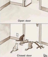 Open vs closed doors 