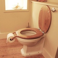 Toilet seat design