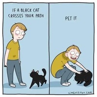 Pet a black cat 