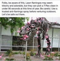 Flamingoes vs T-Rex
