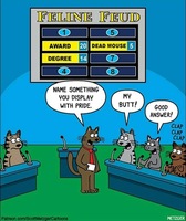 Cats on Family Feud