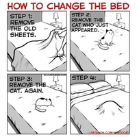 Making the bed 