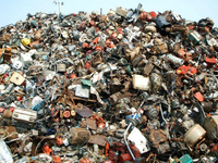 Find the Cat - Trash pile