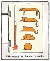 Thermometer for Cat Owners