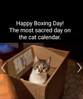 (Boxing Day is December 26th)