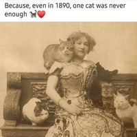 Victorian Cat Lady