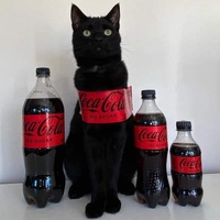 Cola Cat