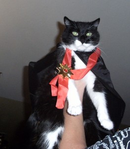 This is sooo humiliating