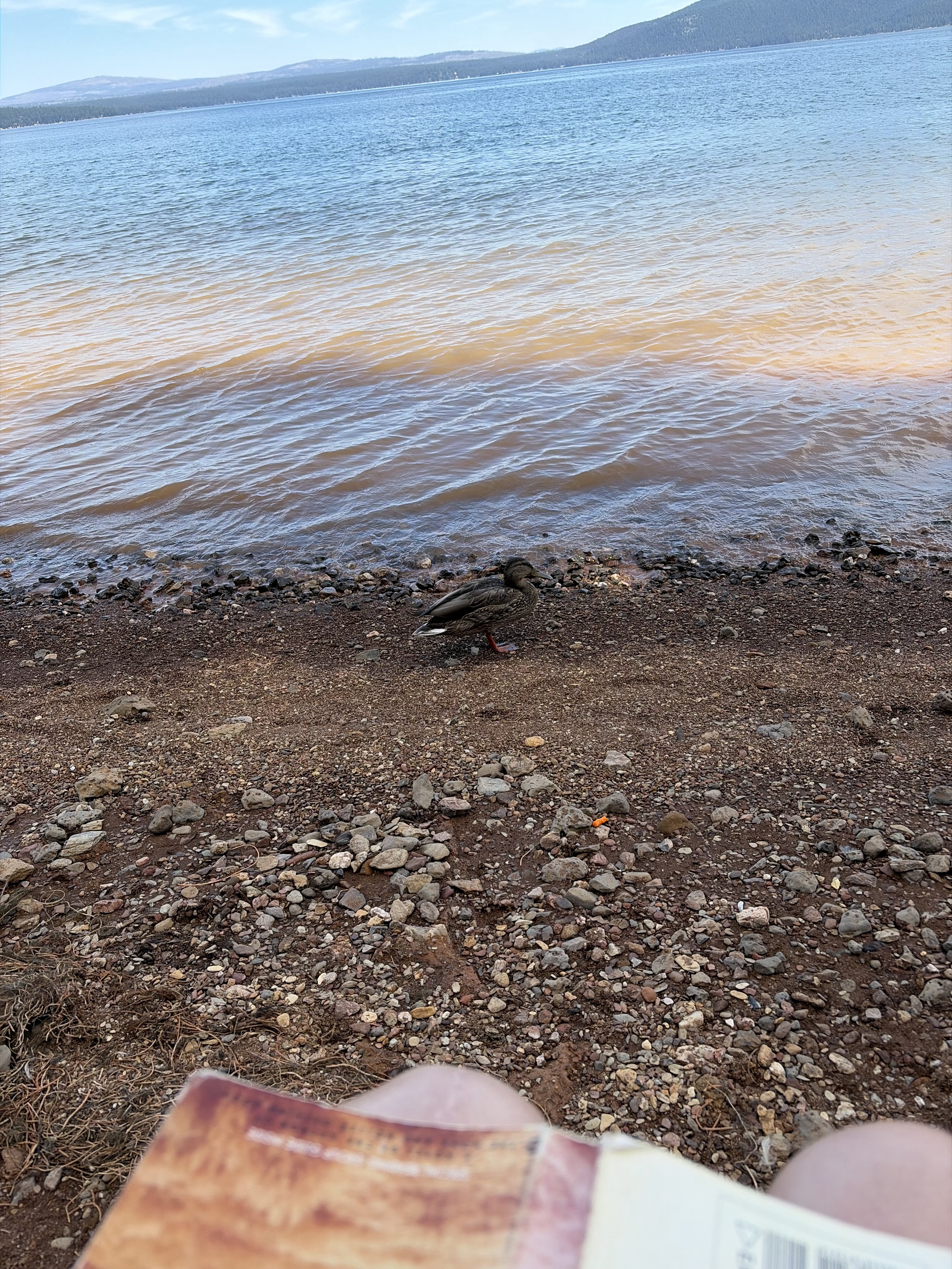 Lake Almanor August 2026