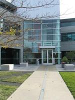 Working at Microsoft