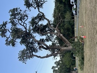 Camping - May 2022
