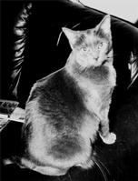 Black & White Photos I