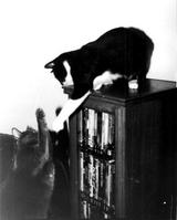 Black & White Photos I