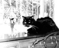 Black & White Photos I