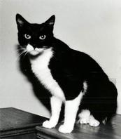 Black & White Photos I