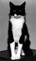 Black & White Photos I
