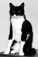 Black & White Photos I