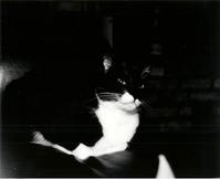 Black & White Photos I