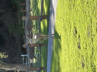 Coyote Reservoir visit