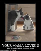 Cute Kitties