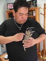 Beardie