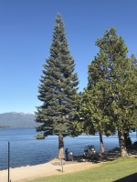 Lake Almanor August 2026